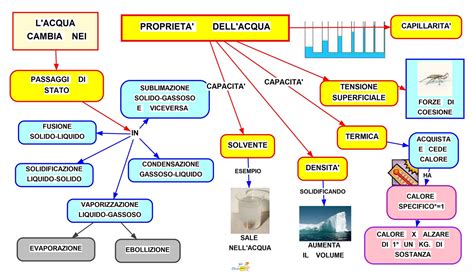 Tubo mocassino acqua. Caratteristiche fisiche, alimentazione e .